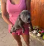Две момичета с две ваксини и паспорт!, снимка 2