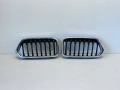 решетка бъбреци BMW F39 X2 model 2018-2023  г. #1075V., снимка 1