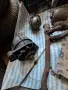 Всичко за VW Golf & Jetta Mk2 1300см3, снимка 17