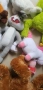 плюшени играчки, снимка 3
