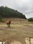 Prodavam kanshe na 6 mesec, снимка 1