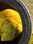 Гуми Kumho ecsta sport ps1 255/35/R20, снимка 4