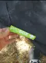 Probox Grow Tent 150, снимка 2