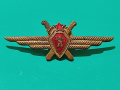 Знак на ВВС - Военен, снимка 1