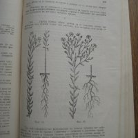Земеделие и физиология на растенията - сборник от лекции от 1949 г., снимка 6 - Специализирана литература - 29569270