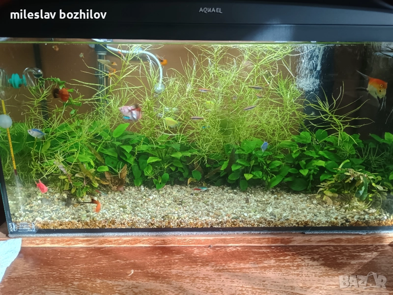 Продавам аквариум , снимка 1