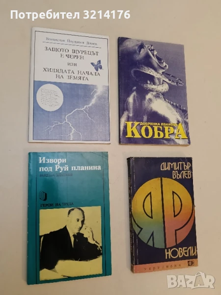 Защото щурецът е черен, или хилядата начала на земята - Венцислав Йорданов Динев, снимка 1