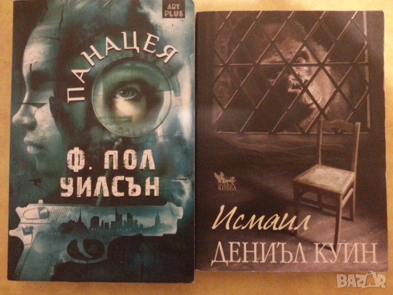 Панацея  / Исмаил - 2 романа от 2018 и 2012 г. отлични, снимка 1