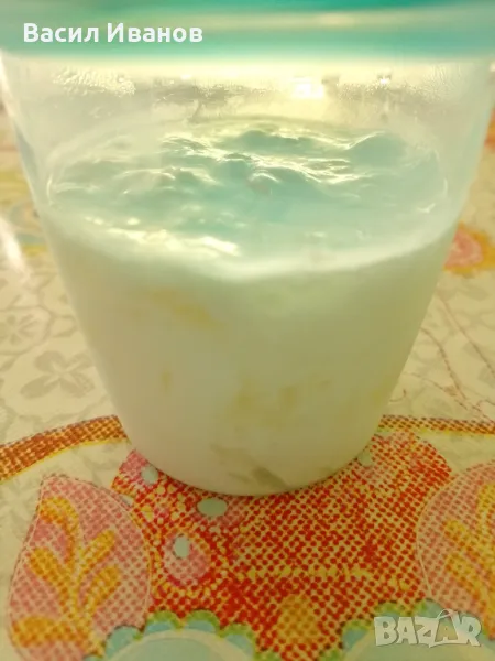 Тибетска кефирена гъба, снимка 1