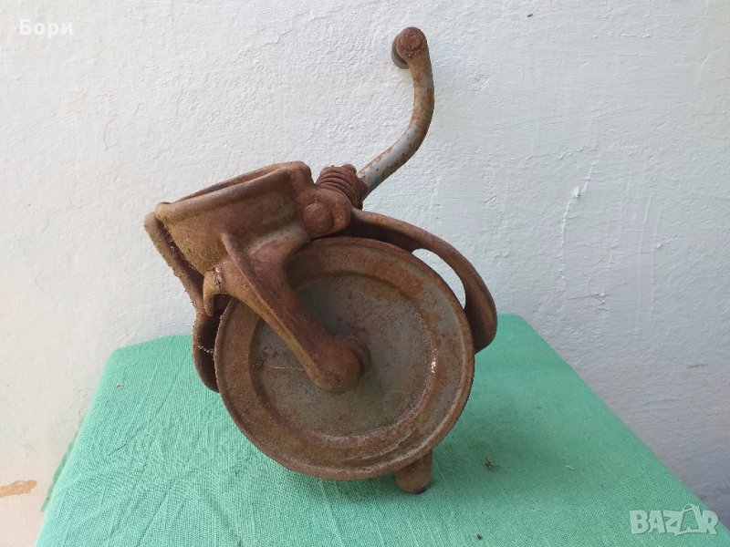 Роначка на царевица, снимка 1