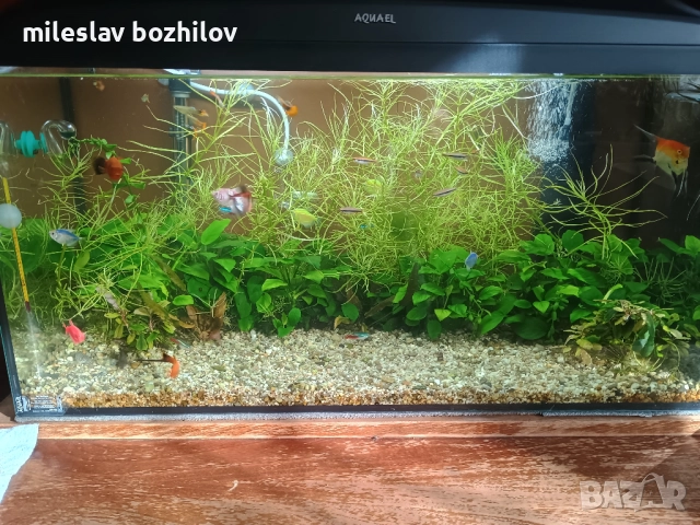 Продавам аквариум 