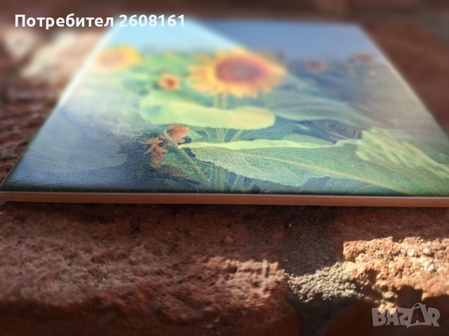 Оригинален подарък - директен UV печат на снимка върху керамична плочка, снимка 2 - Декорация за дома - 53888311