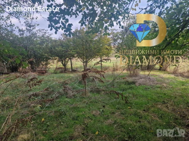 Парцел в село Бял извор, обл. Стара Загора, снимка 5 - Парцели - 52130004