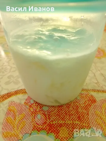 Тибетска кефирена гъба