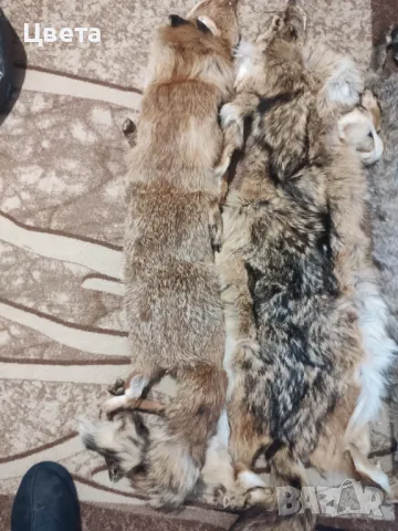 Кожи обработени, снимка 2 - Други - 47835856