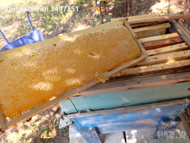 ПЧЕЛЕН МЕД БУКЕТ , снимка 2 - Пчелни продукти - 56115304