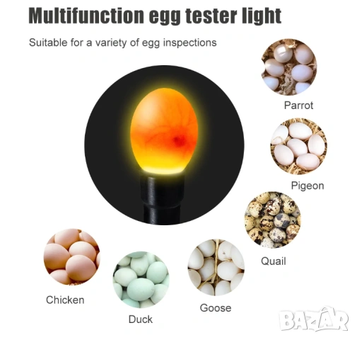 LED Лампа Тестер за Яйца Детектор Светлинен Овоскоп за Инкубатор на Пилета Фенерче за Излюпване Тест, снимка 4 - Градинска техника - 53875426