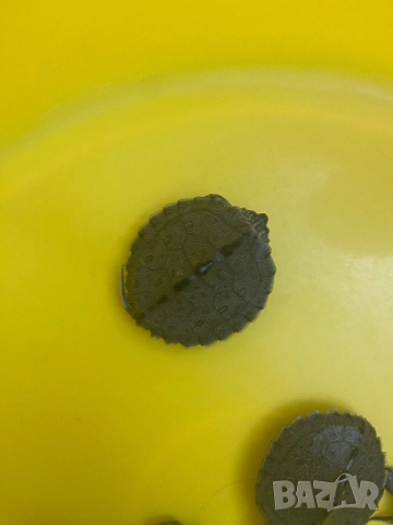 Продавам  водни костенурки, снимка 5 - Костенурки - 52439218