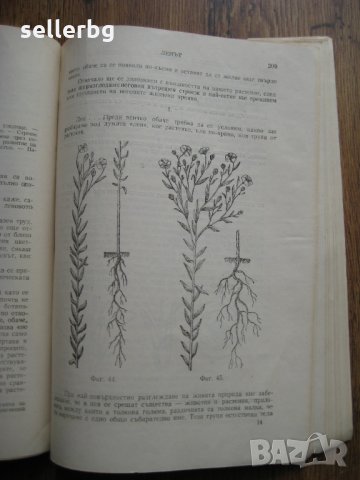 Земеделие и физиология на растенията - сборник от лекции от 1949 г., снимка 6 - Специализирана литература - 29569270