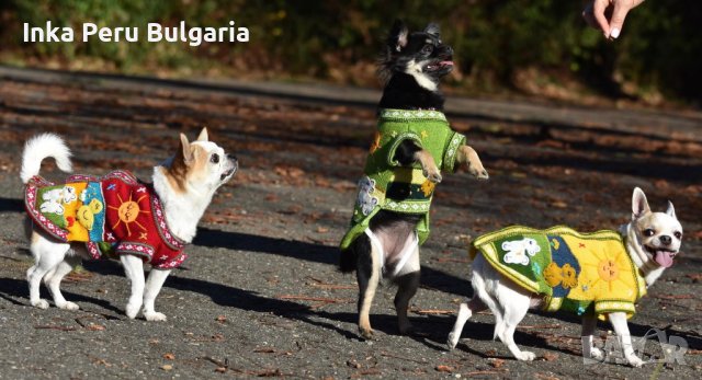 Ръчно бродирани перуански кучешки дрешки различни цветове и размери , снимка 12 - За кучета - 42821198