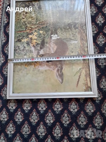 Стара снимка #17, снимка 6 - Други ценни предмети - 44480387