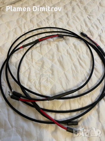 Audience Au24 , снимка 2 - Други - 53304319