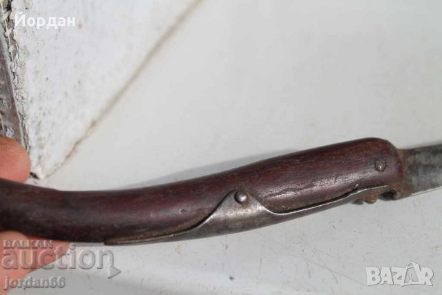 Немска ножка окапи, снимка 4 - Колекции - 39710350