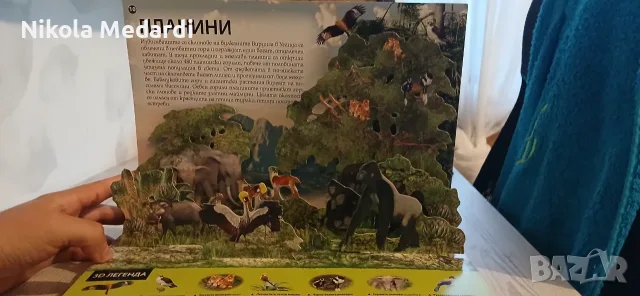 Детска 3D енциклопедия за животните в Африка, снимка 3 - Енциклопедии, справочници - 56202496