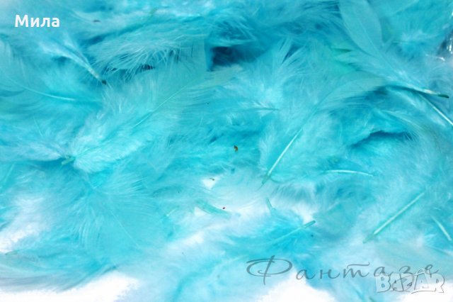 Пера, снимка 16 - Декорация за дома - 31498455