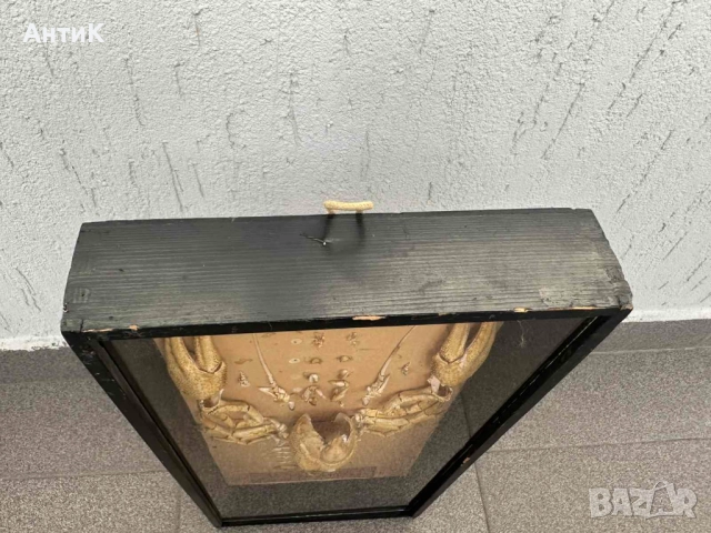 Соц Учебен Модел на Рак Разчленен Учтехпром, снимка 6 - Антикварни и старинни предмети - 52386820