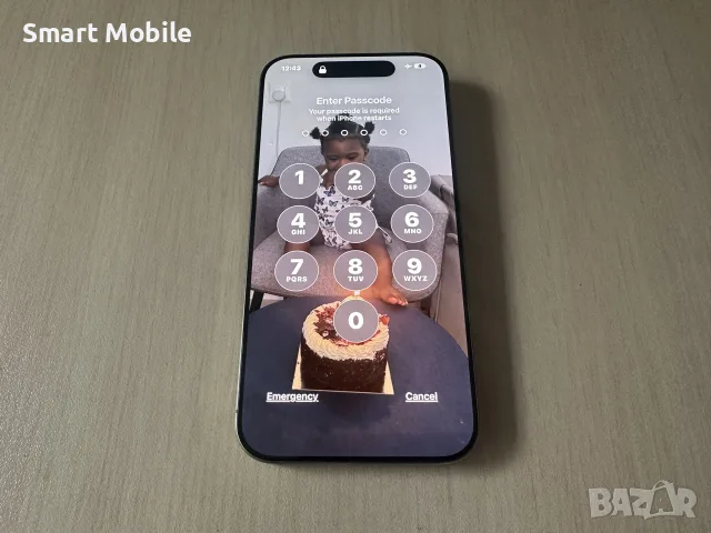 Apple iPhone 16 Pro Max 