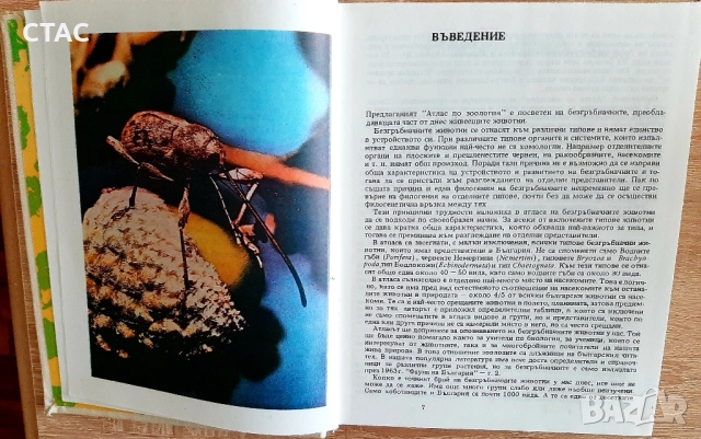 Физико-химия--записки-1ва и2ра части за13лв двете,Зоология-1-ва част и Атлас по зоология, снимка 10 - Специализирана литература - 49174840