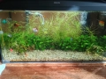 Продавам аквариум , снимка 1