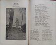 Родина. Сборникъ за утра и забави Асенъ К. Манчевъ, снимка 9