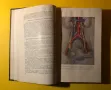 Стара Книга Гинекология 1957 г. на Руски, снимка 4