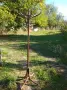 стари дървени закачалки, снимка 1