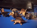 Лот от 15 гумени динозавъра – „Jurassic park“ у дома!, снимка 2