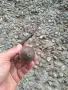 стар немски рокан Fuchs Messer 34/4, снимка 6