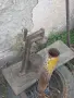 Старинки за барбекю., снимка 2
