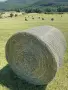 Ливадно сено - Бали 120х120см, снимка 4
