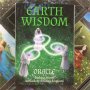 Earth Wisdom Oracle - оракул карти , снимка 3