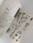 ЛОТ Билкарски книги, снимка 3
