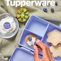 Кутии за храна от Tupperware , снимка 5 - Кутии за храна - 42372764