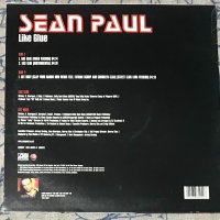 Sean Paul – Like Glue ,Vinyl 12", 33 ⅓ RPM, снимка 2 - Грамофонни плочи - 42760481