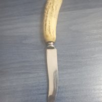 Genuine Stag Handled Butter Knife, снимка 1 - Други ценни предмети - 38023578