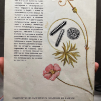 Книга Лечебни растения, снимка 2 - Специализирана литература - 44658462