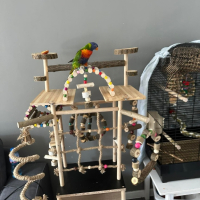 Игрални площадки за папагали, снимка 2 - За птици - 44564674