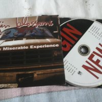 Gin Blossoms ‎– New Miserable Experience оригинален американски диск, снимка 1 - CD дискове - 29259997