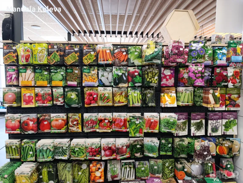 Семена, снимка 1