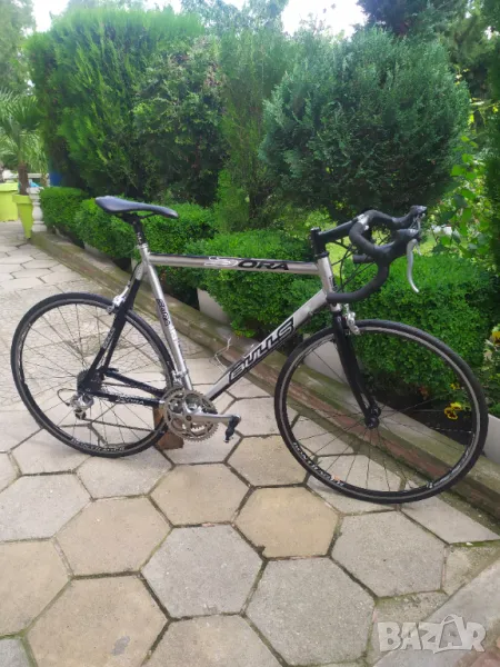 Шосеен велосипед Bulls- xl размер. Aluminium7005, снимка 1